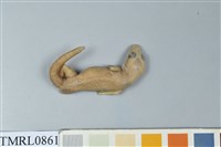 藏品(疣尾蝎虎)的圖片